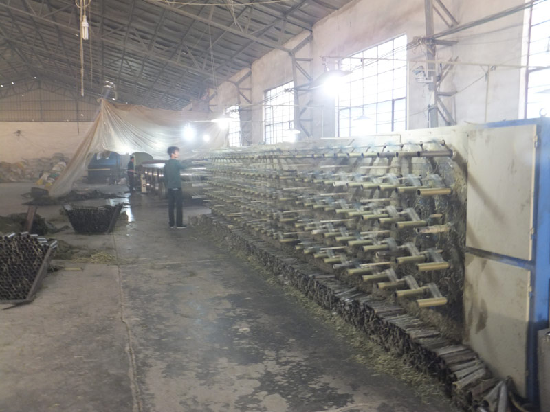 ��˿����1